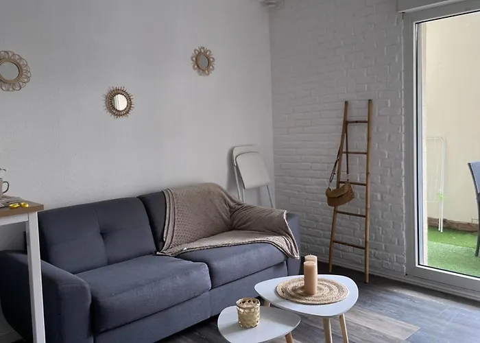 Avec Piscine * Bayonne